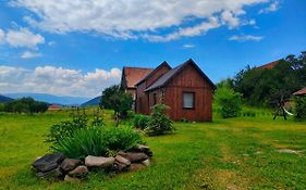 Organicle Lodge